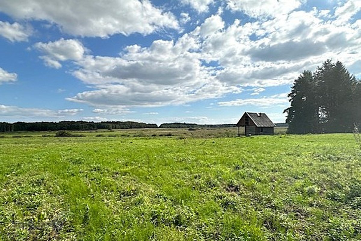 Parduodamas 8,1889 Ha Sklypas Su Rąstiniu 61 - nuotraukos Nr. 26