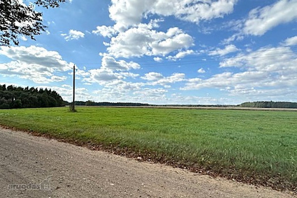 Parduodamas 8,1889 Ha Sklypas Su Rąstiniu 61 - nuotraukos Nr. 29