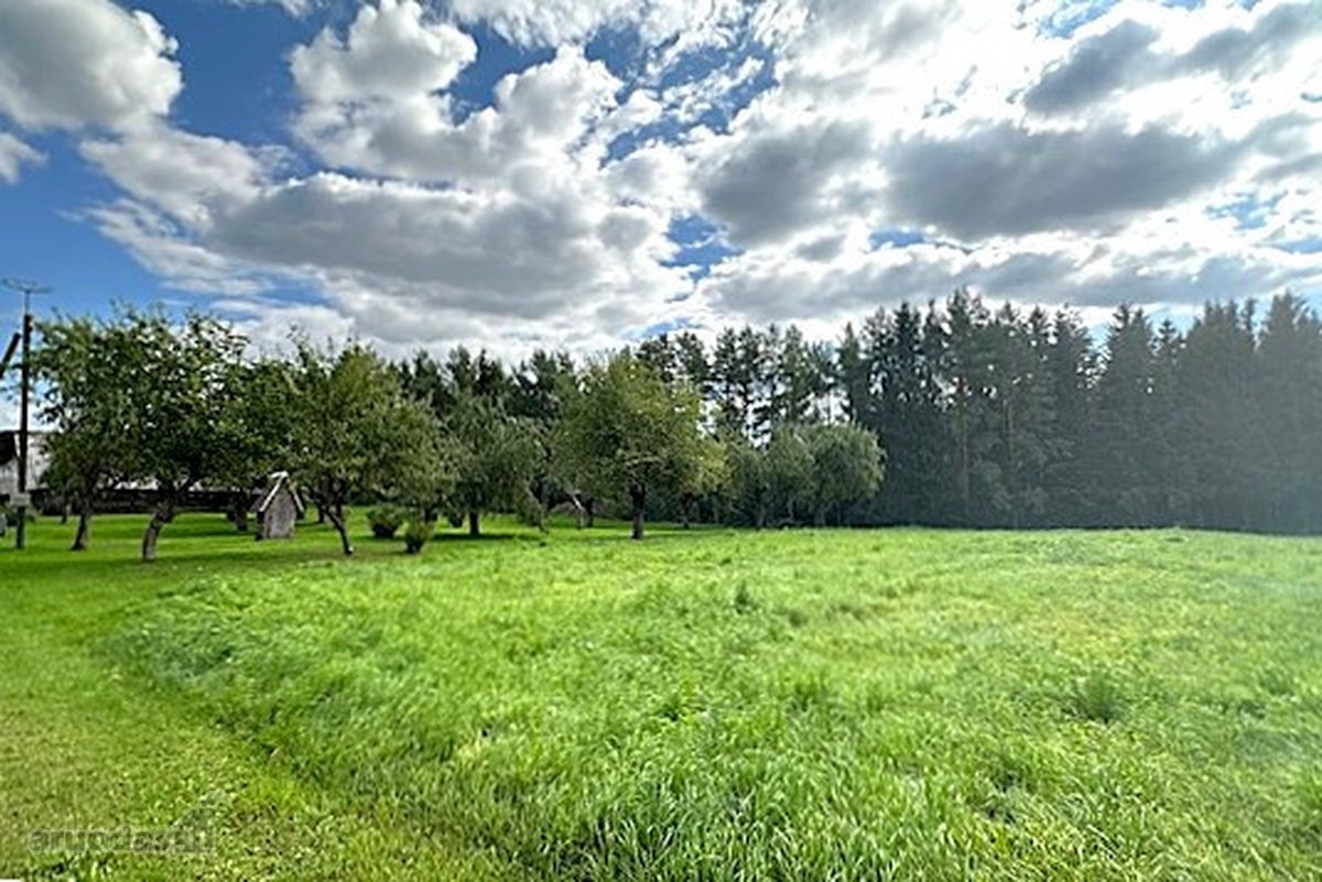 Parduodamas 8,1889 Ha Sklypas Su Rąstiniu 61 - nuotraukos Nr. 30