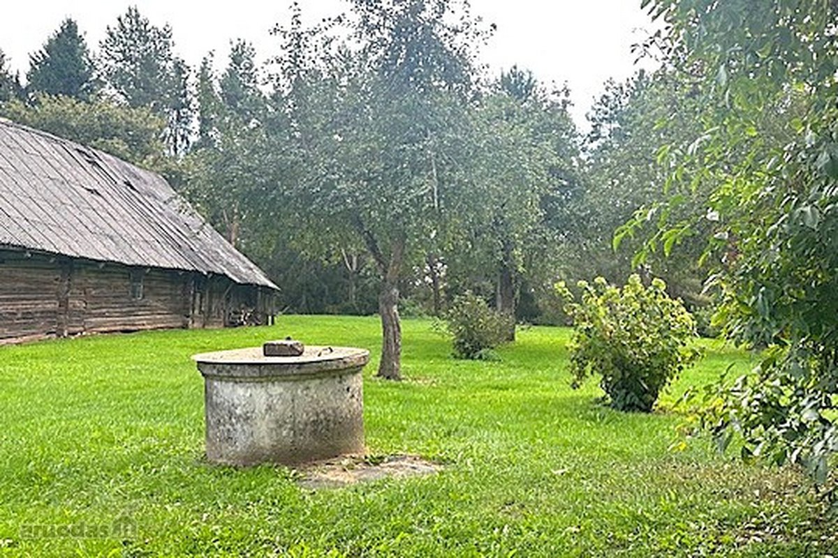 Parduodamas 8,1889 Ha Sklypas Su Rąstiniu 61 - nuotraukos Nr. 31
