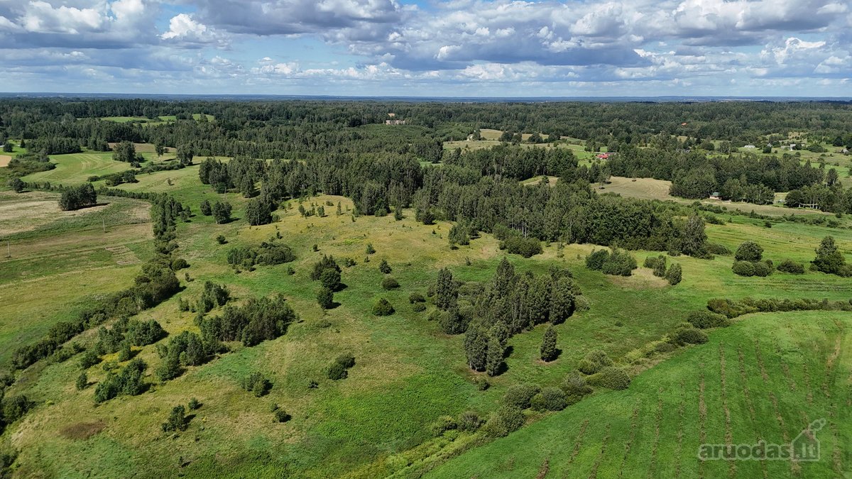 Parduodamas !0,4 ha sklypas, pievų ir - nuotraukos Nr. 5