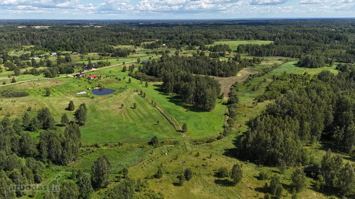 Parduodamas !0,4 ha sklypas, pievų ir - nuotraukos Nr. 6