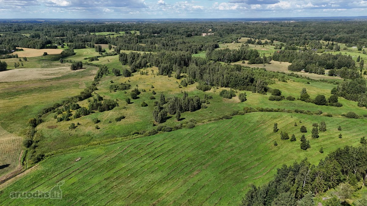Parduodamas !0,4 ha sklypas, pievų ir - nuotraukos Nr. 7