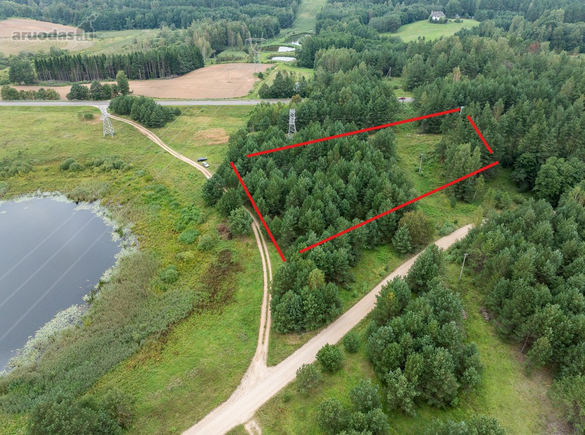 Molėtų rajone, Lėlių kaime (Luokesos sen.)