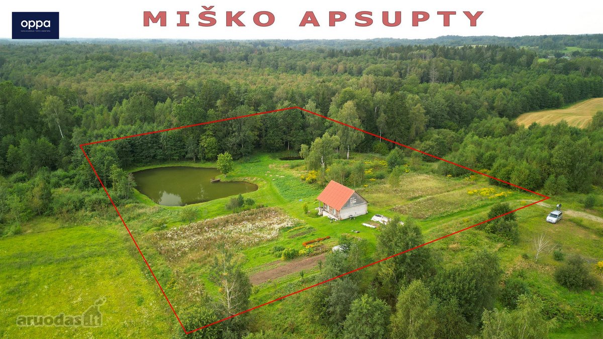 Šalia Pikeliškių, Daučionių k., netoli Senojo - nuotraukos Nr. 4