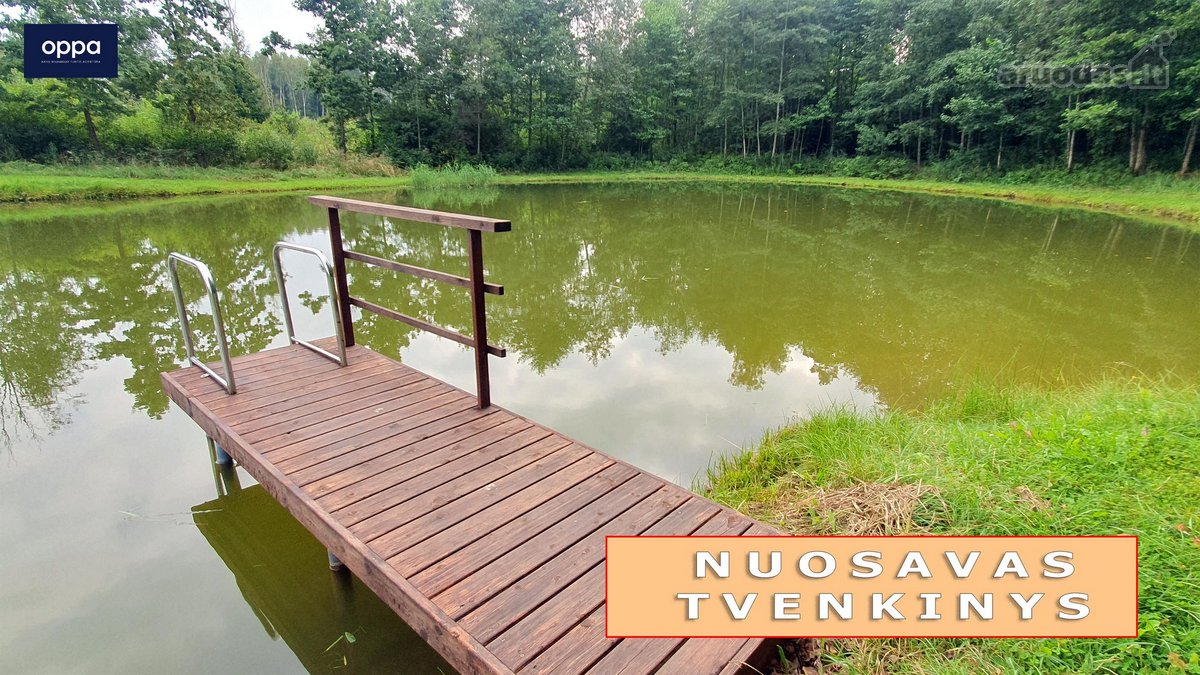 Šalia Pikeliškių, Daučionių k., netoli Senojo - nuotraukos Nr. 5