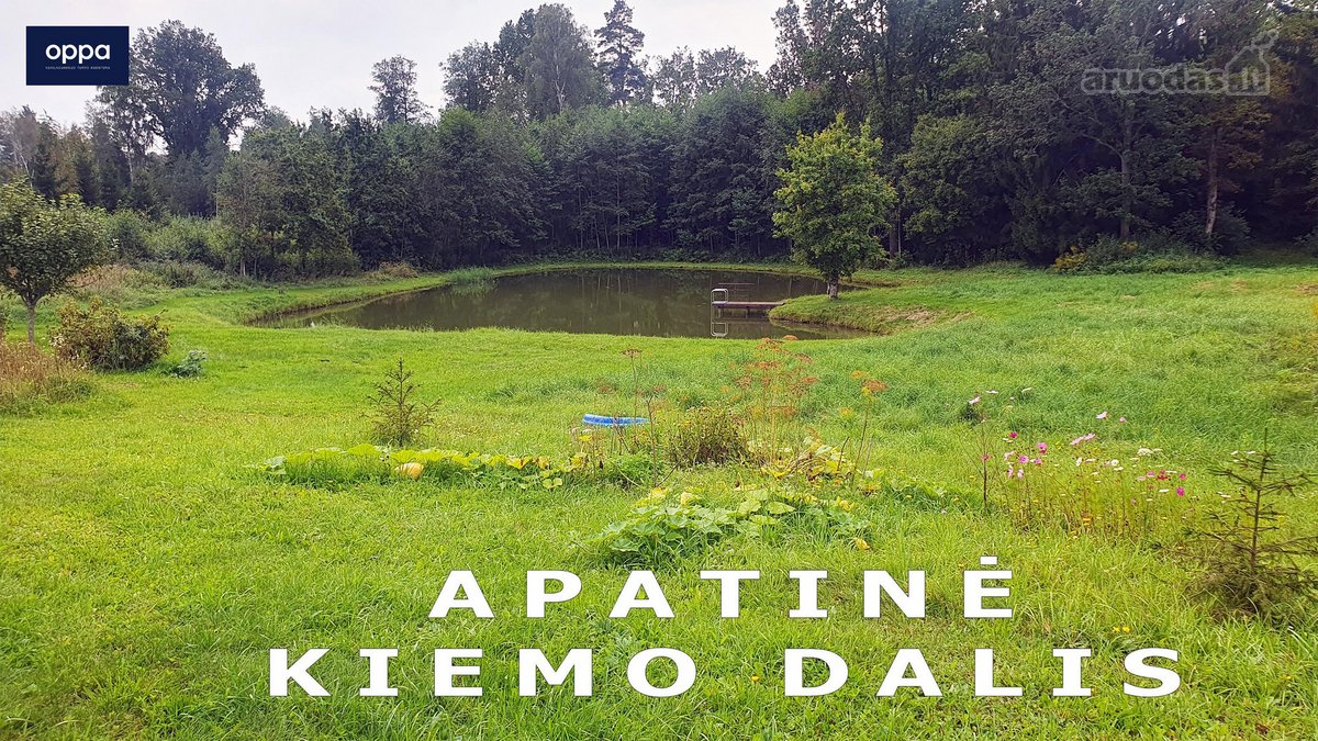 Šalia Pikeliškių, Daučionių k., netoli Senojo - nuotraukos Nr. 6