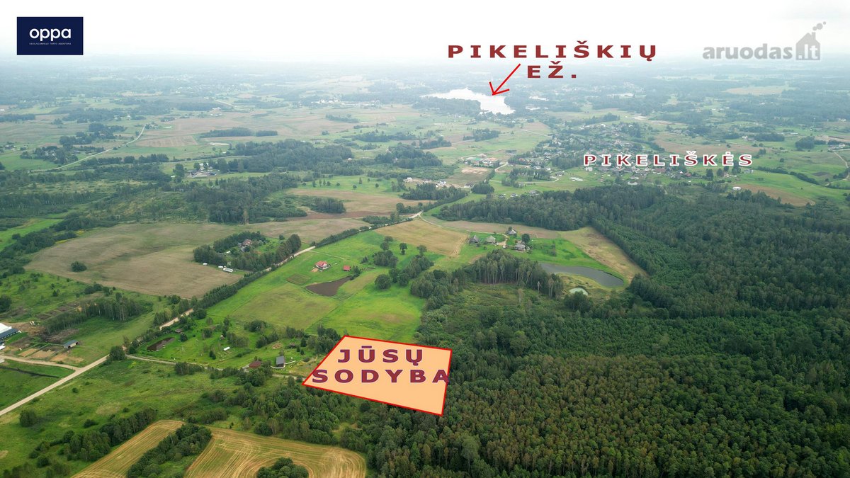 Šalia Pikeliškių, Daučionių k., netoli Senojo - nuotraukos Nr. 9