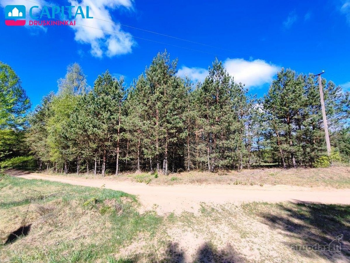 Sklypas Vilkanastruose 600 m nuo Juodojo - nuotraukos Nr. 9