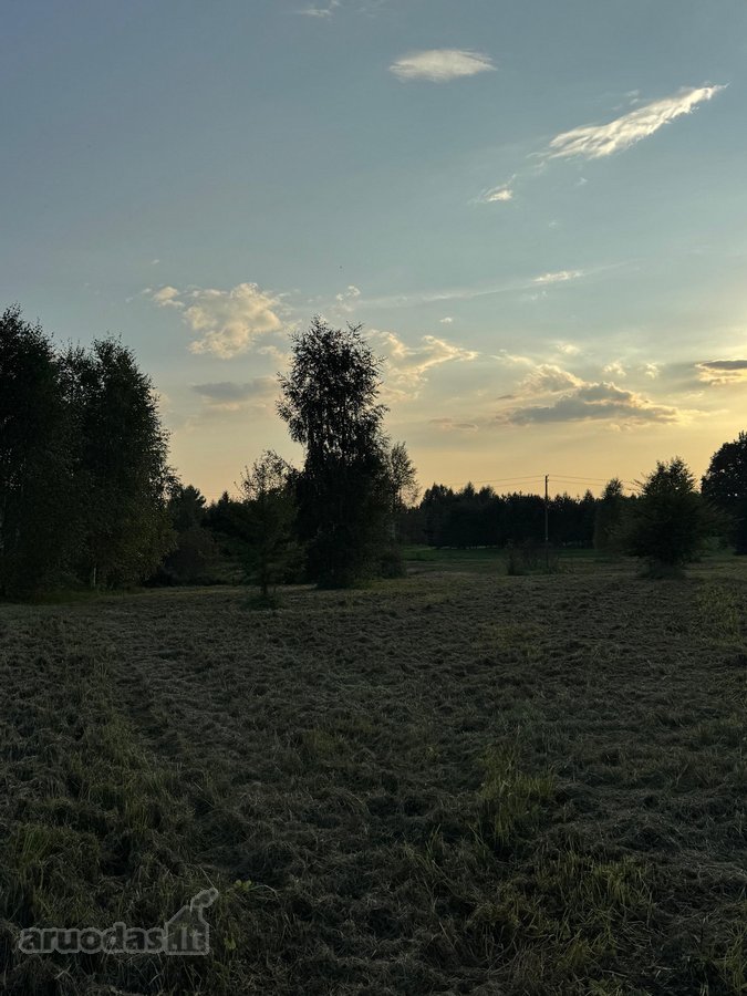 Namų valdos sklypas 95,03 arų su kokybiškai - nuotraukos Nr. 4