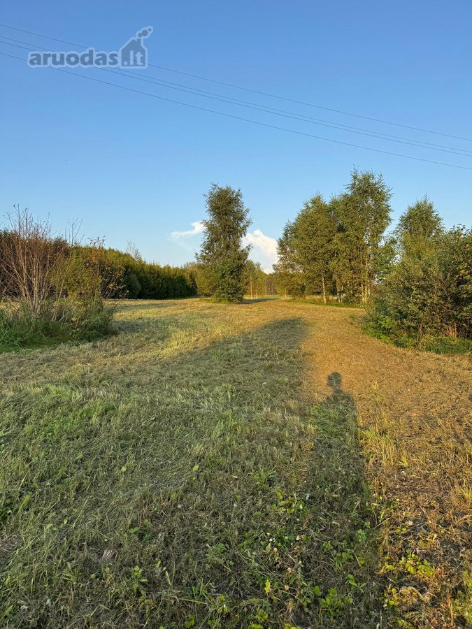 Namų valdos sklypas 95,03 arų su kokybiškai - nuotraukos Nr. 5