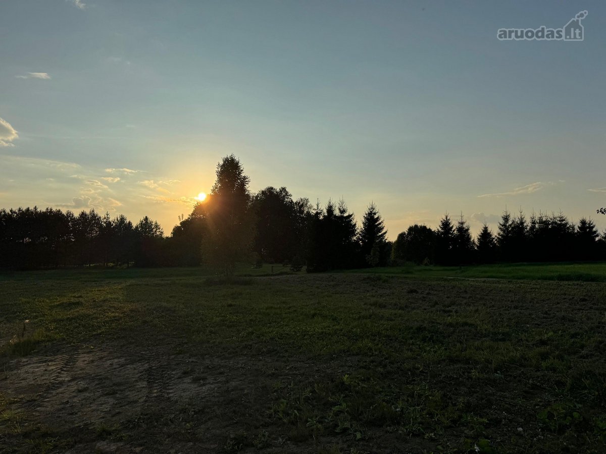 Namų valdos sklypas 95,03 arų su kokybiškai - nuotraukos Nr. 6