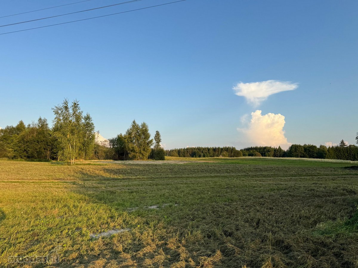 Namų valdos sklypas 95,03 arų su kokybiškai - nuotraukos Nr. 7