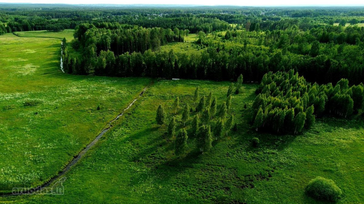 1.66ha žemės ūkio paskirties sklypas,galima