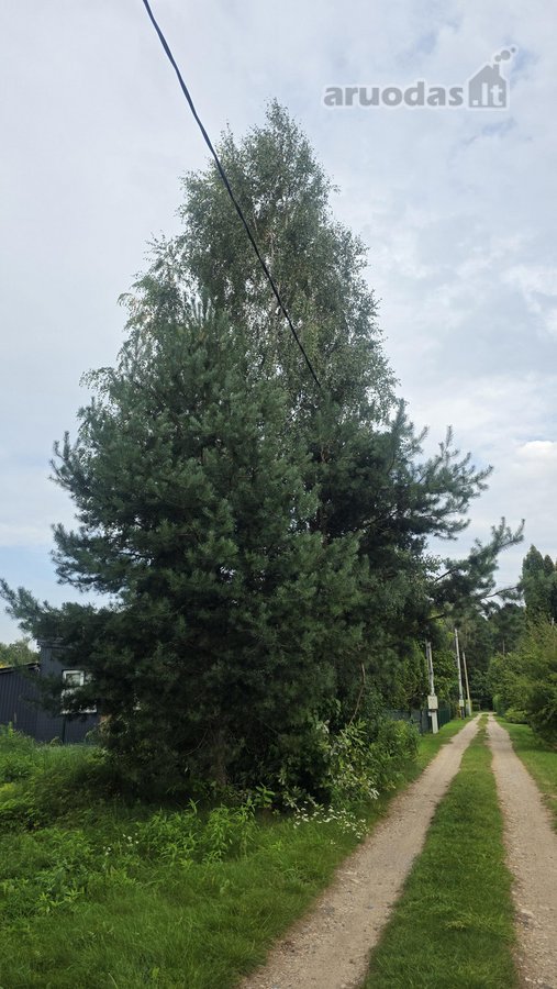 Parduodamas Sodo Namas Su Dideliu Ūkiniu - nuotraukos Nr. 12