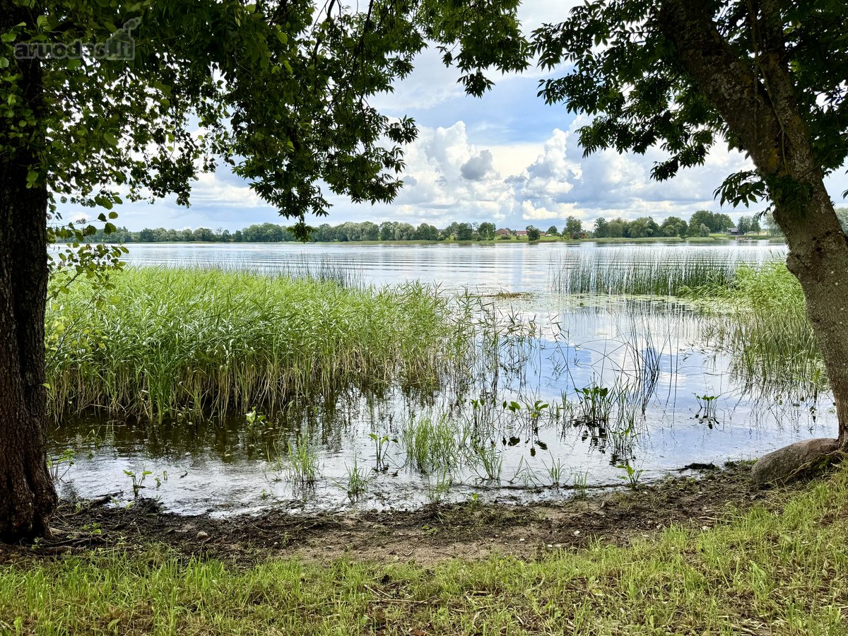 Svajojate apie namą ant ežero kranto? Tai - nuotraukos Nr. 10