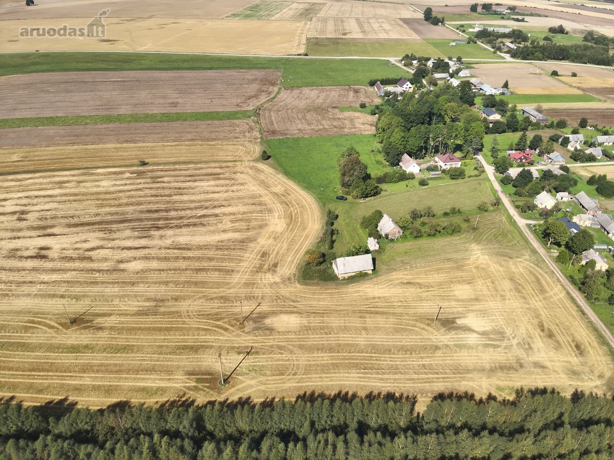 Parduodama sodyba su posodybiniu 1,4427 ha - nuotraukos Nr. 7