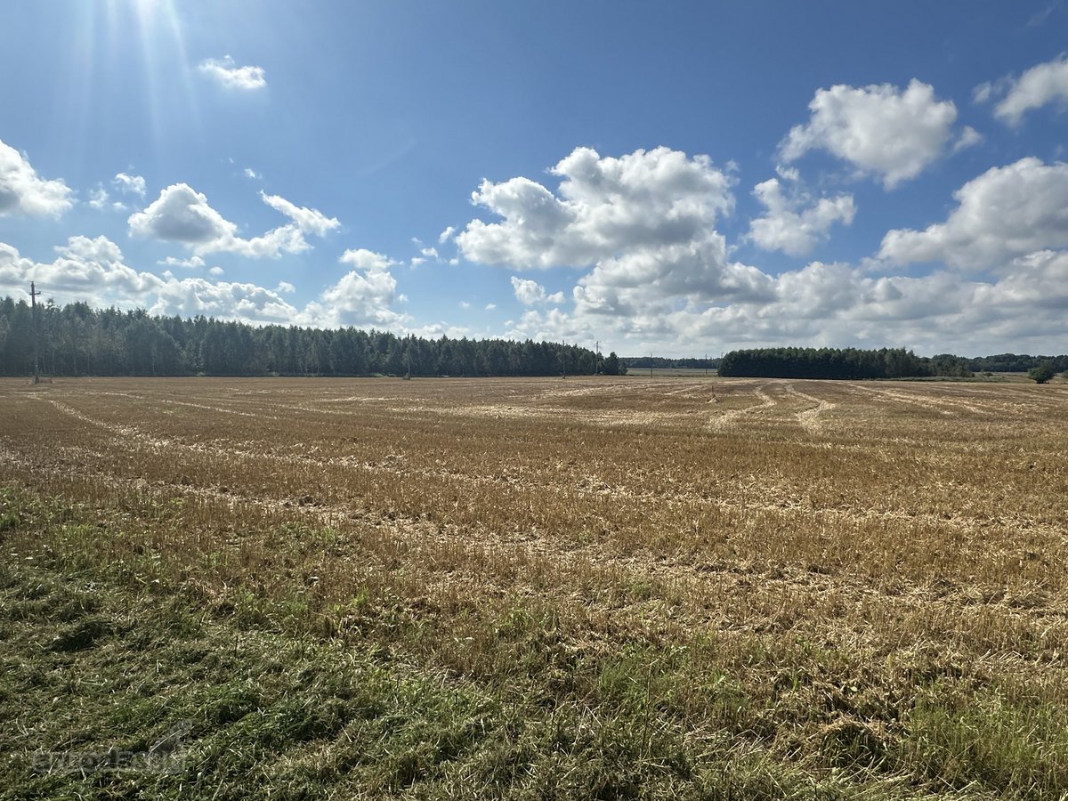 Parduodama sodyba su posodybiniu 1,4427 ha - nuotraukos Nr. 8