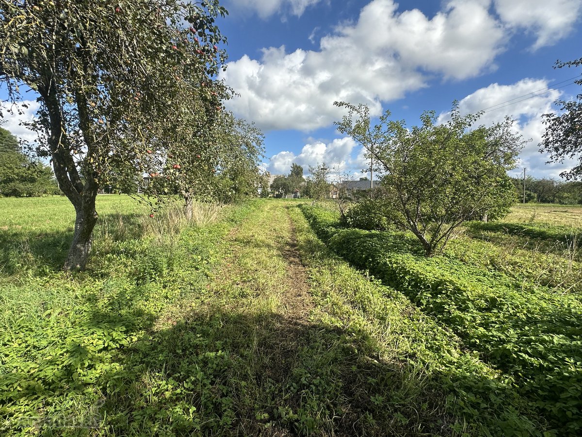 Parduodama sodyba su posodybiniu 1,4427 ha - nuotraukos Nr. 17