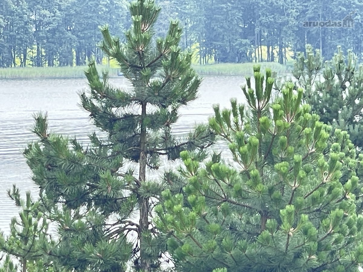 Parduodamas Sklypas Prie Seirijo Ežero – - nuotraukos Nr. 14