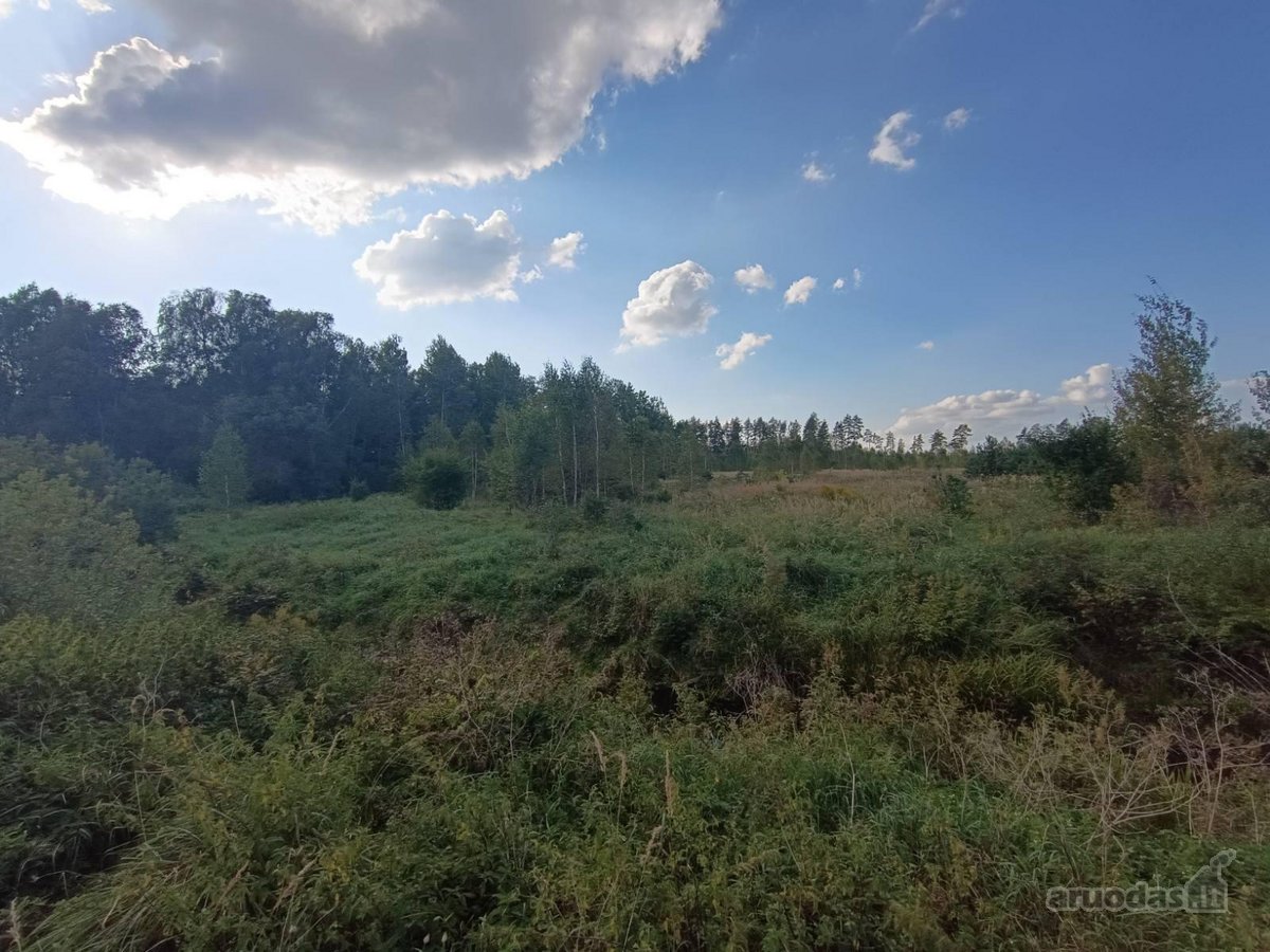 Parduodamas žemės ukio paskirties sklypas 1 - nuotraukos Nr. 5