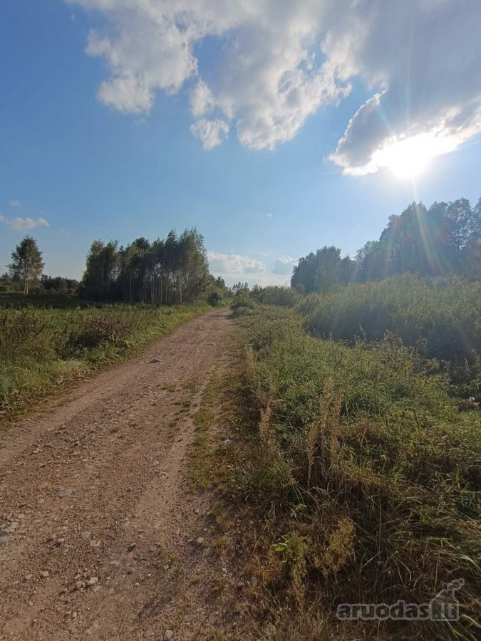 Parduodamas žemės ukio paskirties sklypas 1 - nuotraukos Nr. 8