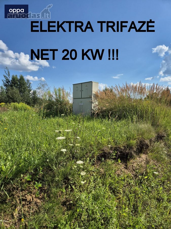 Šalia Pikeliškių, Daučionių k., netoli Senojo - nuotraukos Nr. 11