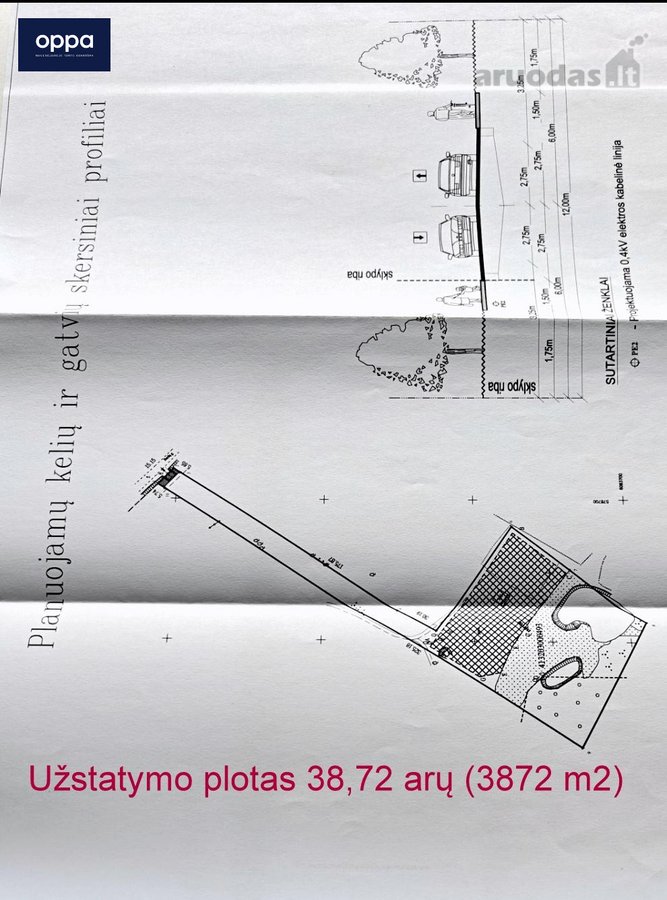 Šalia Pikeliškių, Daučionių k., netoli Senojo - nuotraukos Nr. 12