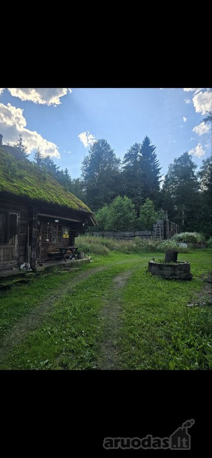 Vilniaus rajone, šalia Arvydų, parduodama - nuotraukos Nr. 6