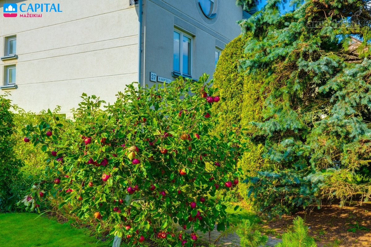 Parduodamas Pigiai Išlaikomas Gyvenamasis Namas. - nuotraukos Nr. 6