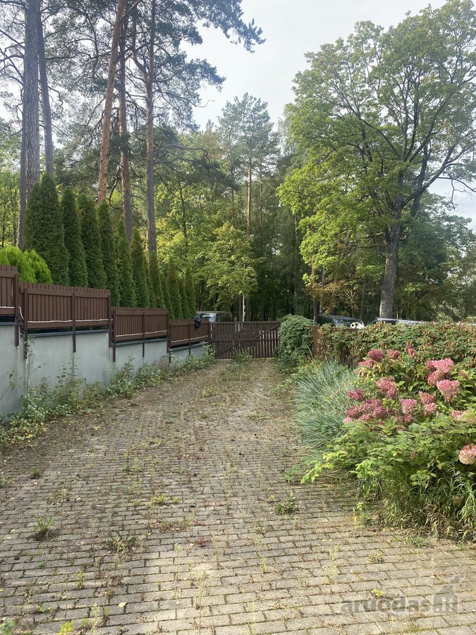 Namas Druskininkų Centre, Priešais Druskonio Ežerą - nuotraukos Nr. 7