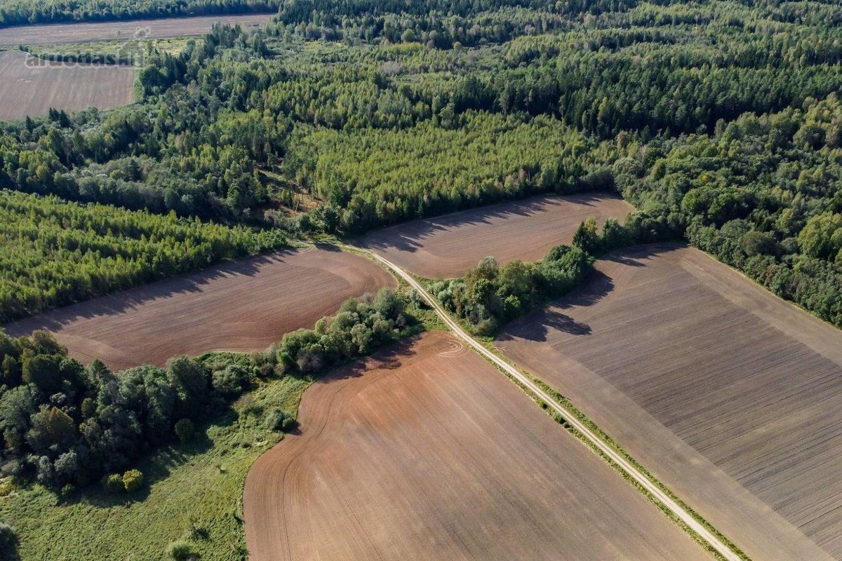 Parduodamas 6,50 ha žemės ūkio paskirties - nuotraukos Nr. 2