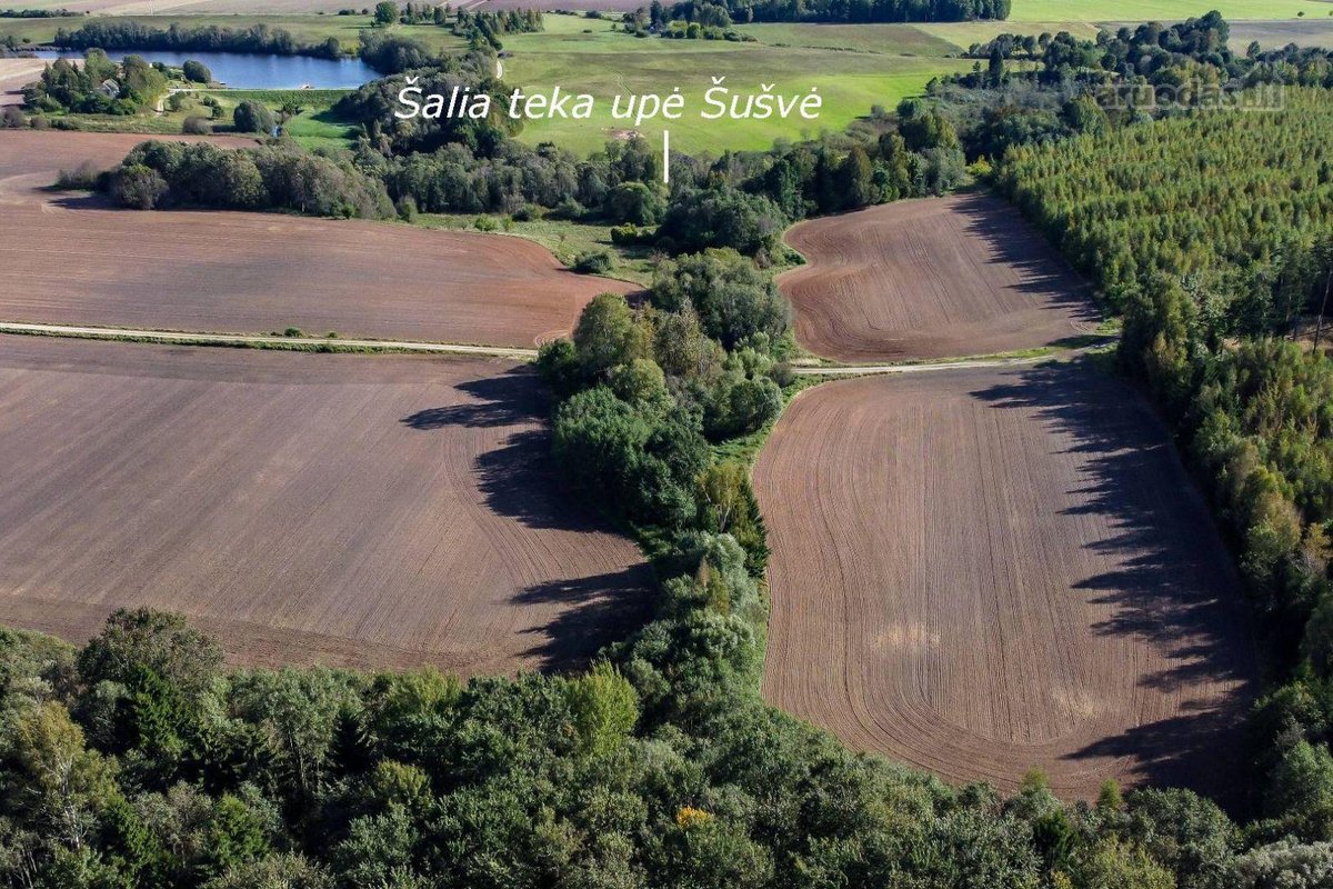 Parduodamas 6,50 ha žemės ūkio paskirties - nuotraukos Nr. 3