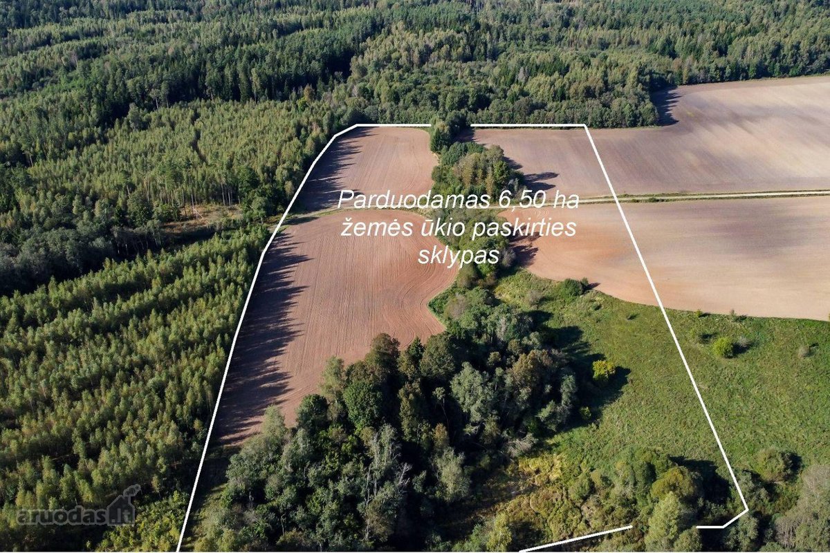 Parduodamas 6,50 ha žemės ūkio paskirties - nuotraukos Nr. 4