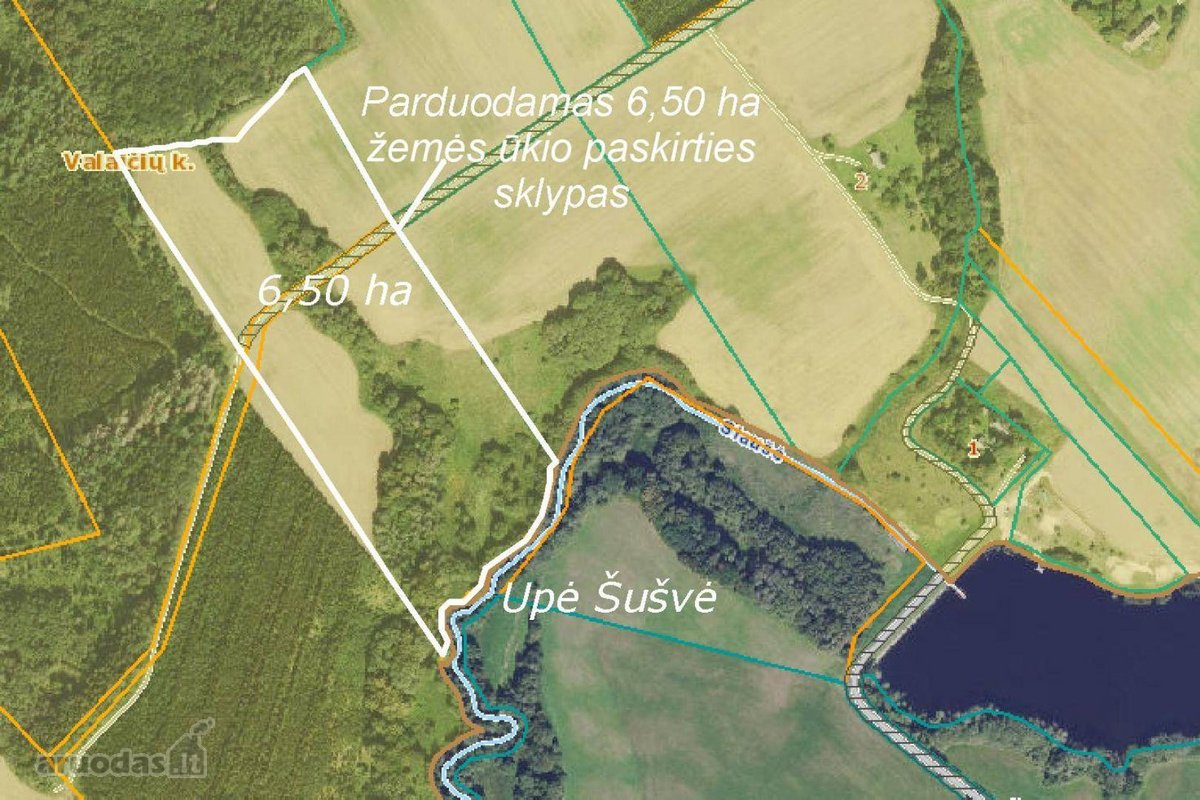 Parduodamas 6,50 ha žemės ūkio paskirties - nuotraukos Nr. 6