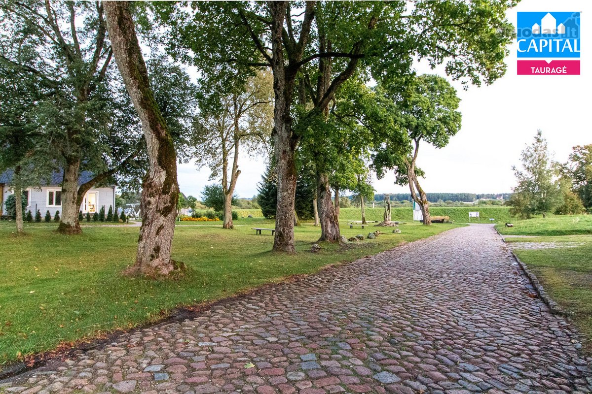 Parduodami Svečių Namai "Senoji Mokyklėlė", - nuotraukos Nr. 35