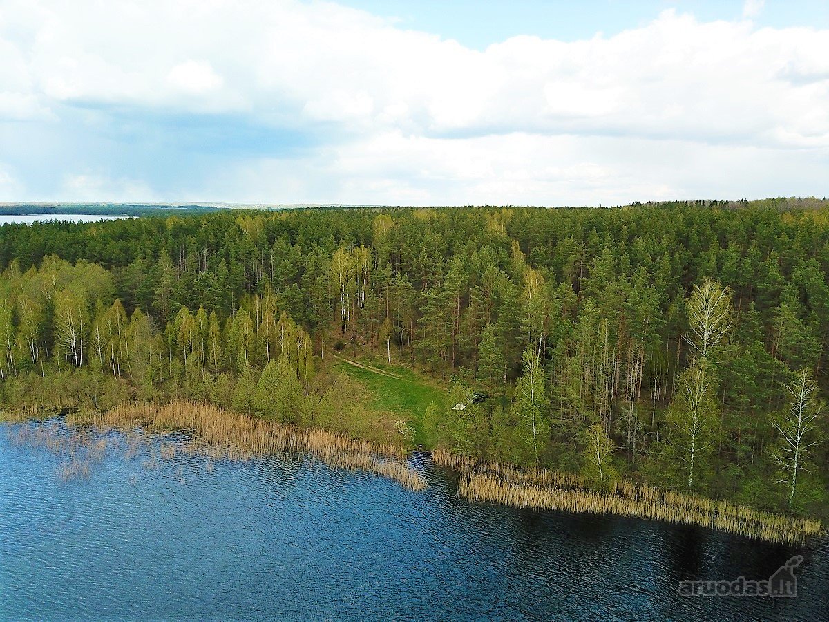 214 a žemės sklypas Lazdijų raj. Pazapsių k., - nuotraukos Nr. 2