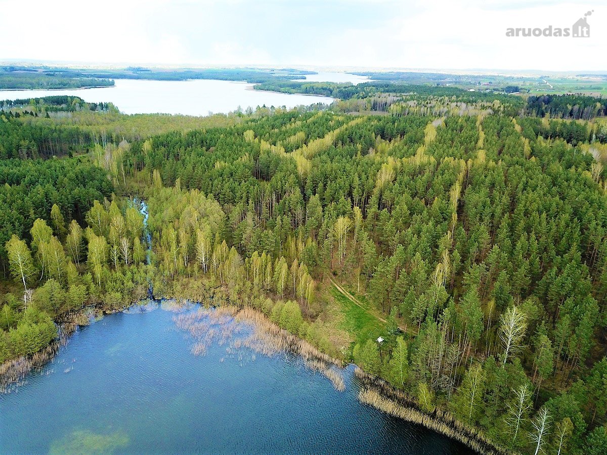 214 a žemės sklypas Lazdijų raj. Pazapsių k., - nuotraukos Nr. 3