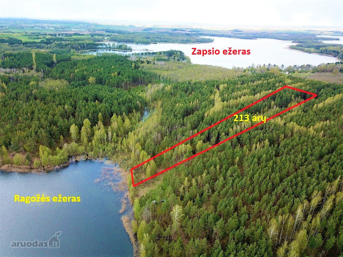 214 a žemės sklypas Lazdijų raj. Pazapsių k.,