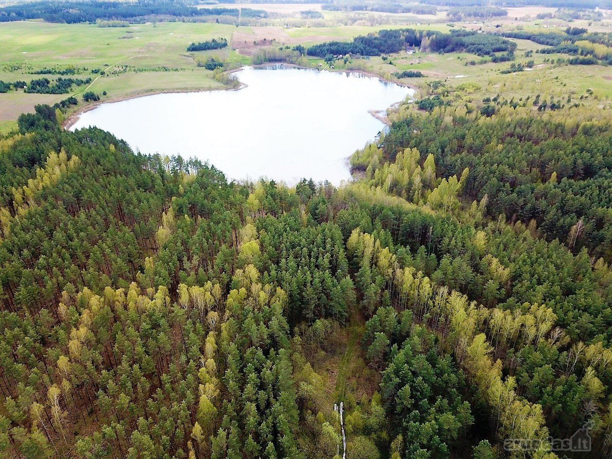 214 a žemės sklypas Lazdijų raj. Pazapsių k., - nuotraukos Nr. 4