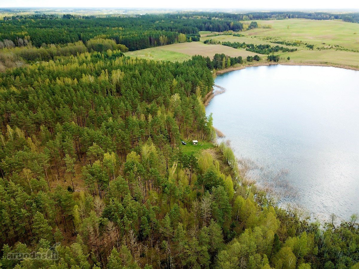 214 a žemės sklypas Lazdijų raj. Pazapsių k., - nuotraukos Nr. 5