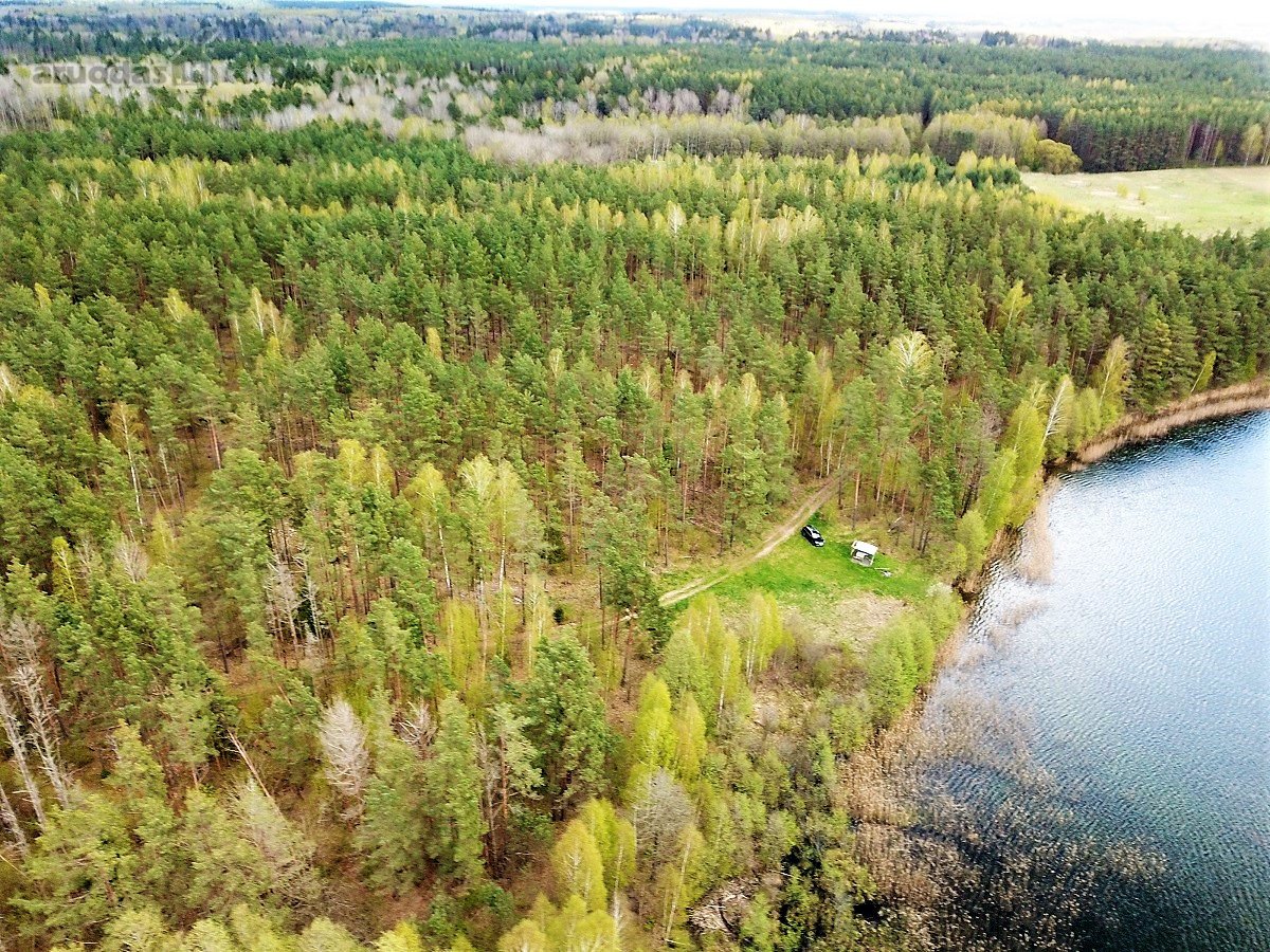 214 a žemės sklypas Lazdijų raj. Pazapsių k., - nuotraukos Nr. 6