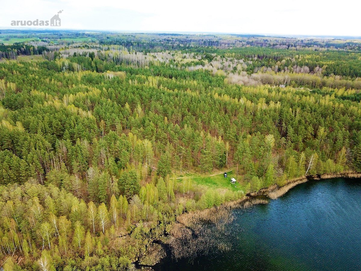 214 a žemės sklypas Lazdijų raj. Pazapsių k., - nuotraukos Nr. 7