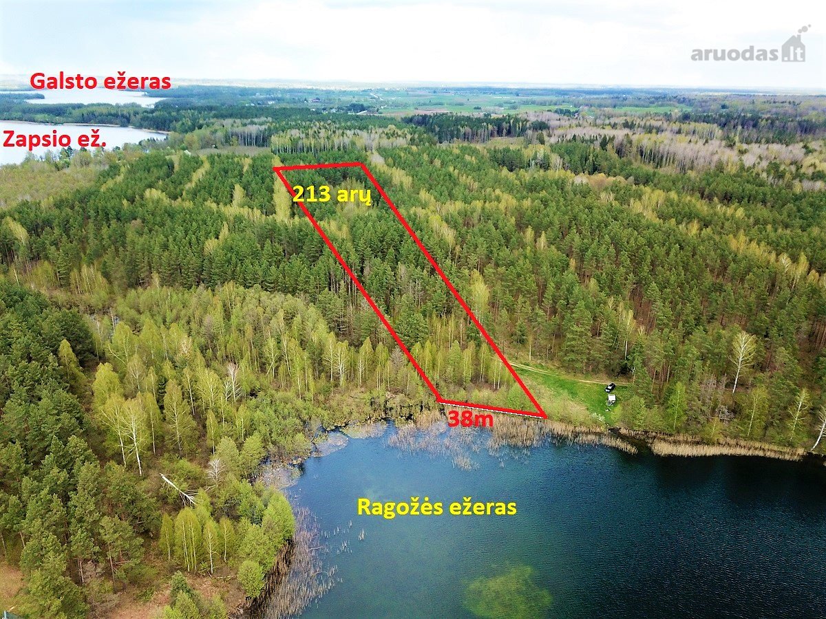 214 a žemės sklypas Lazdijų raj. Pazapsių k., - nuotraukos Nr. 8