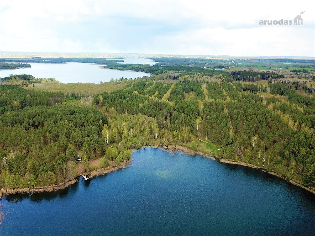 214 a žemės sklypas Lazdijų raj. Pazapsių k., - nuotraukos Nr. 9