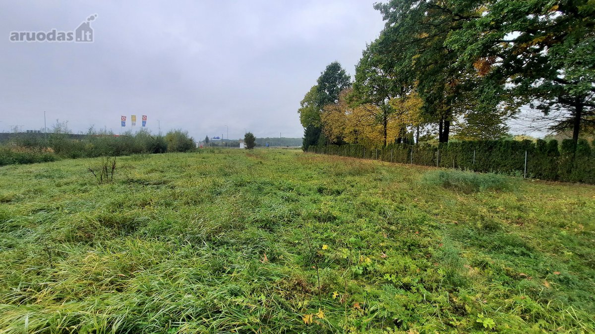 Parduodamas Komercinės Paskirties Žemės - nuotraukos Nr. 2