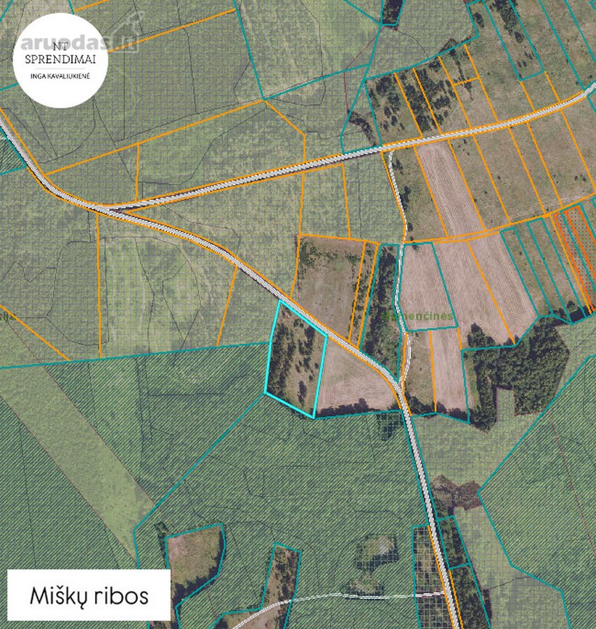 Miškų apsupty, parduodamas beveik hektaras - nuotraukos Nr. 4
