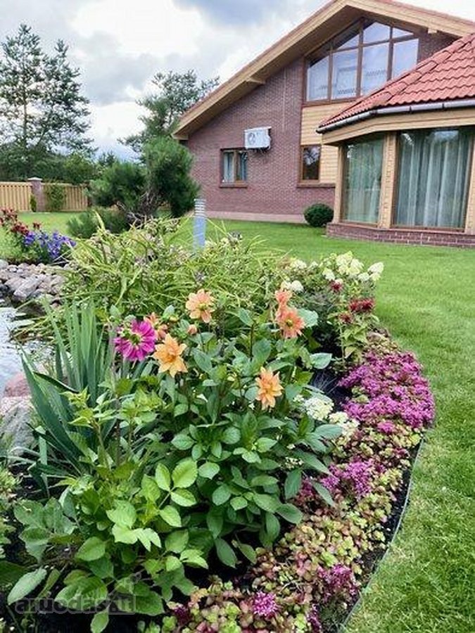 Pardavėjo Dovana -papildoma aikštelė, išklota - nuotraukos Nr. 41