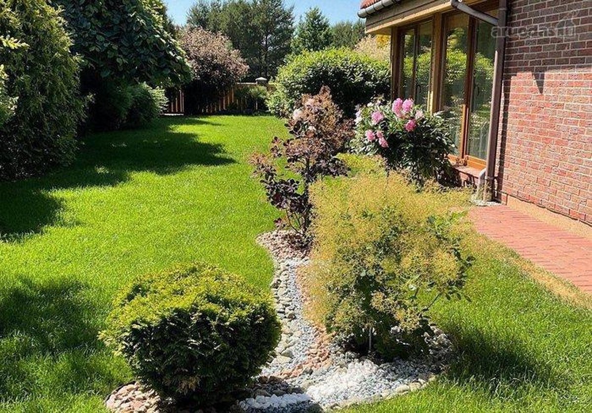 Pardavėjo Dovana -papildoma aikštelė, išklota - nuotraukos Nr. 42