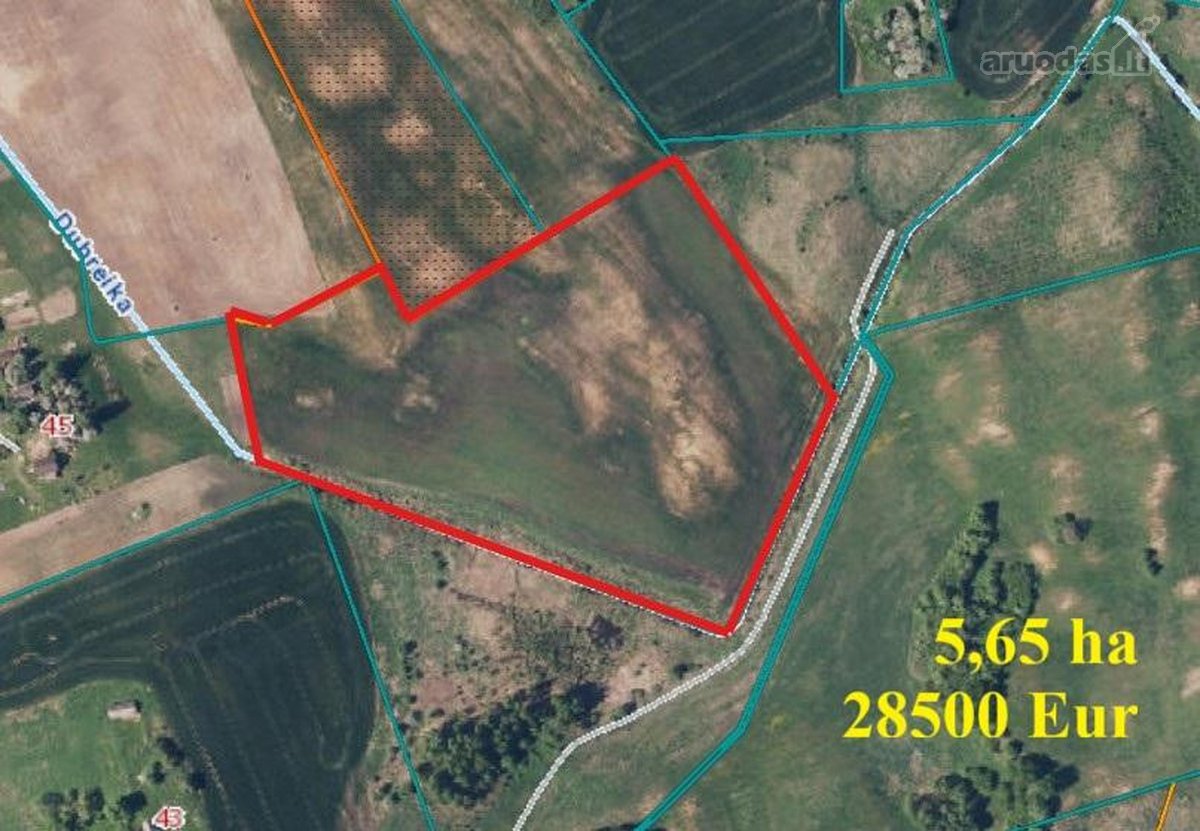 Parduodami 3 žemės ūkio paskirties sklypai - - nuotraukos Nr. 3